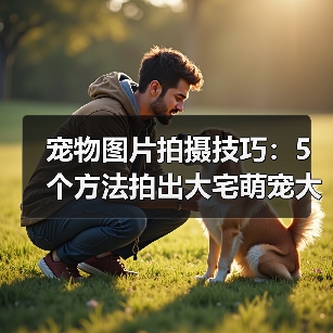 宠物图片拍摄技巧：5个方法拍出大宅萌宠大