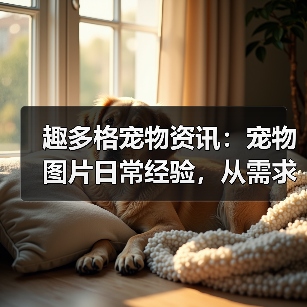 趣多格宠物资讯:宠物图片日常经验,从需求判断到使用维护指南(图4) 趣多格宠物资讯:宠物图片日常经验,从需求判断到使用维护指南(图4)