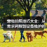 宠物拍照技巧大全:从需求判断到设备维护的实用指南(图2) 宠物拍照技巧大全:从需求判断到设备维护的实用指南(图2)
