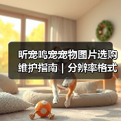 昕宠鸣宠宠物图片选购维护指南|分辨率格式常见问题解析(图4) 昕宠鸣宠宠物图片选购维护指南|分辨率格式常见问题解析(图4)