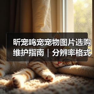 昕宠鸣宠宠物图片选购维护指南|分辨率格式常见问题解析(图3) 昕宠鸣宠宠物图片选购维护指南|分辨率格式常见问题解析(图3)