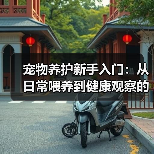 宠物养护新手入门：从日常喂养到健康观察的实用方法